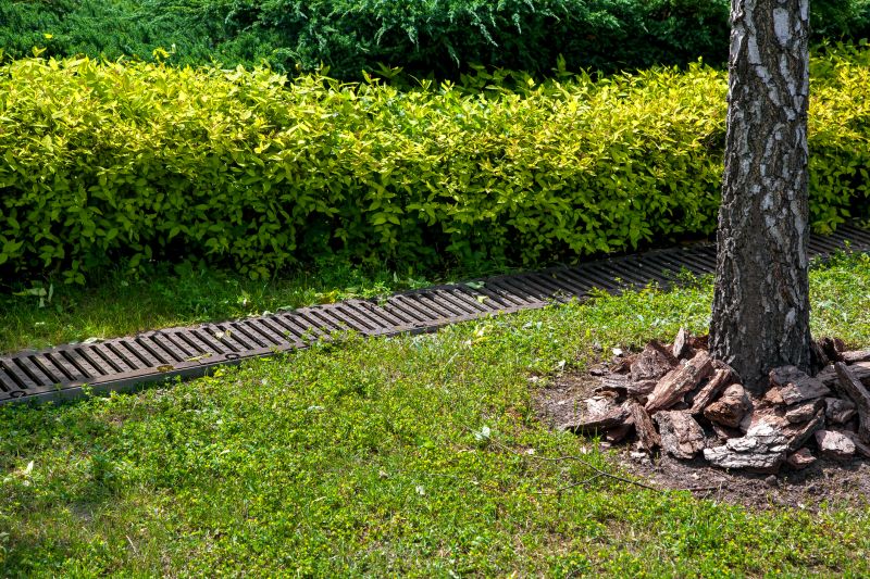 Landscape Drainage in Birmingham, AL